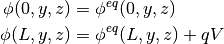 \phi(0, y, z) &= \phi^{eq}(0,y,z)\\
\phi(L, y, z) &= \phi^{eq}(L,y,z) + qV